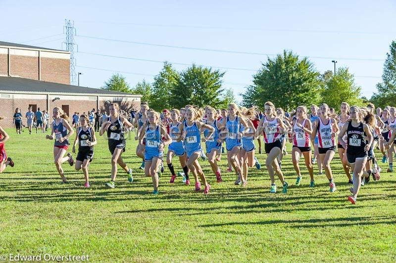 XC Girls  (63 of 384).jpg